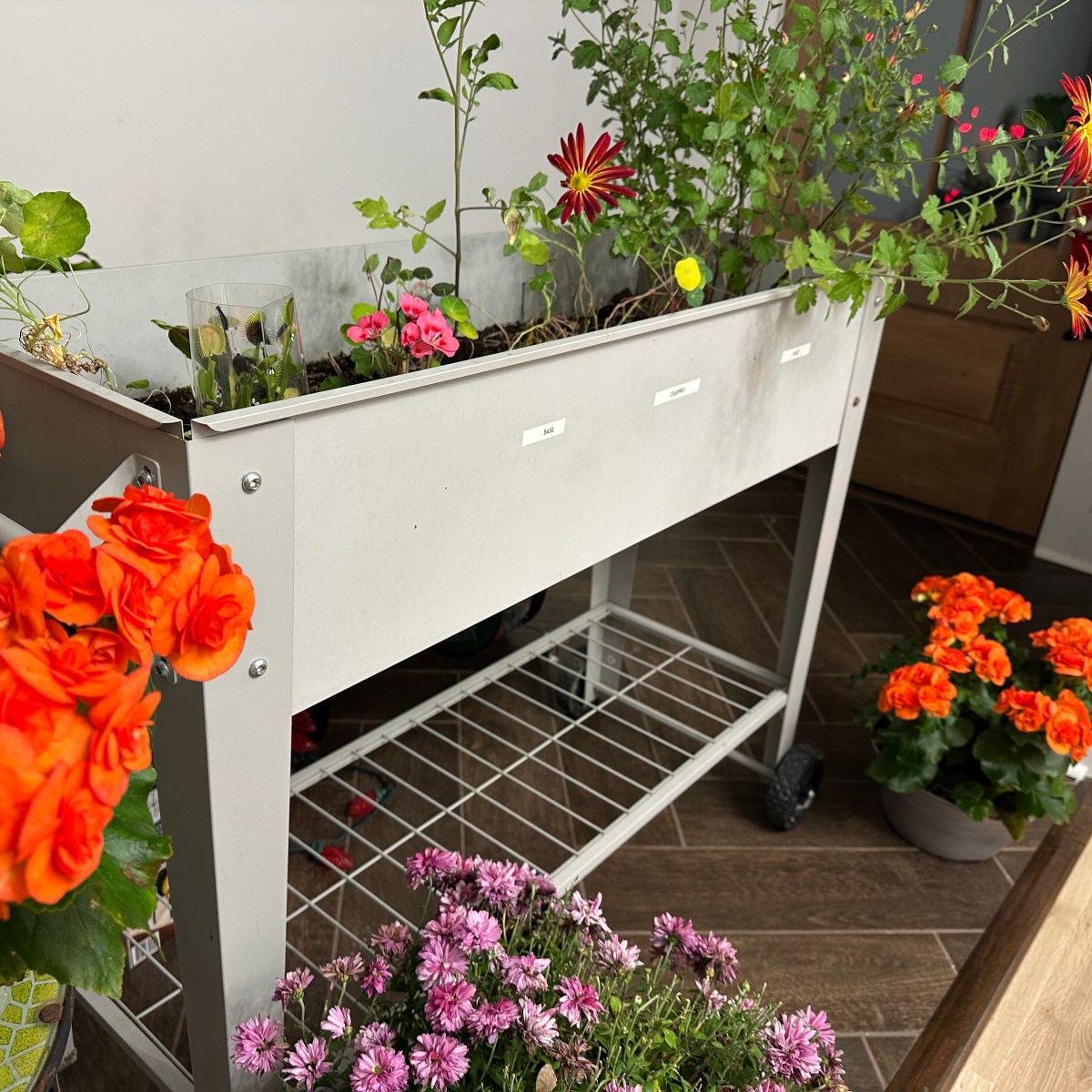 Freezing Burglar Tracks