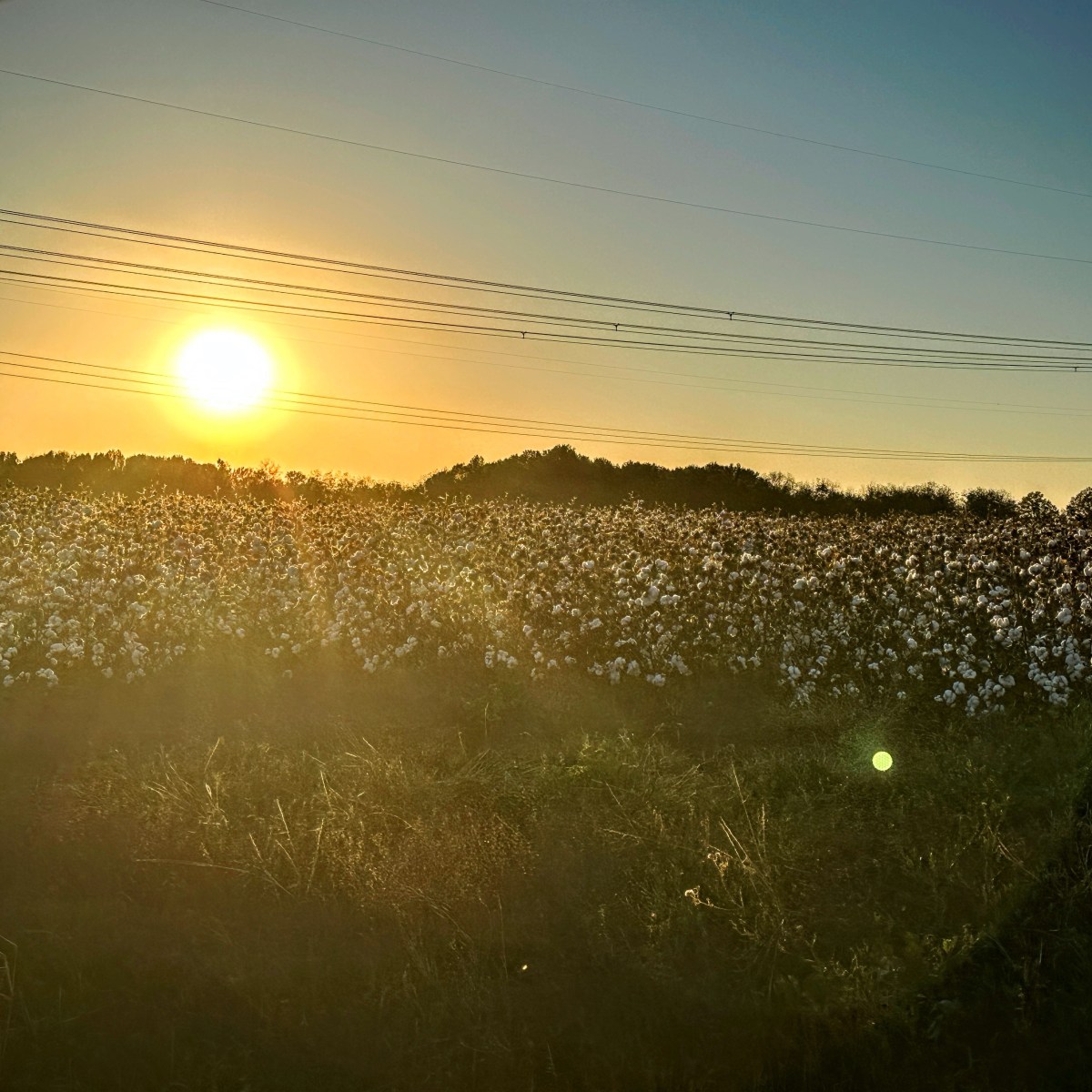 The Need For&nbsp;Love