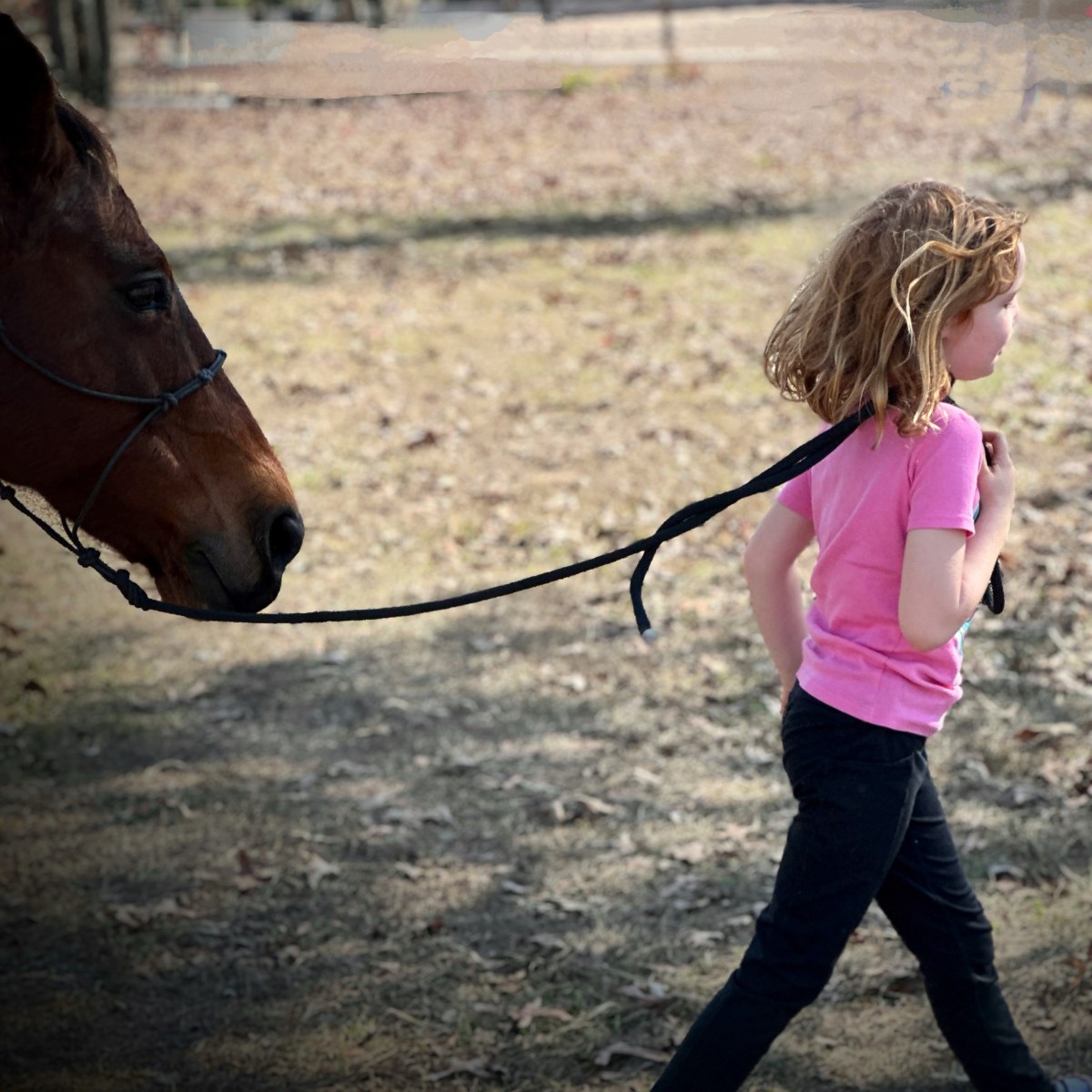 A Comfort-Obsessed Society