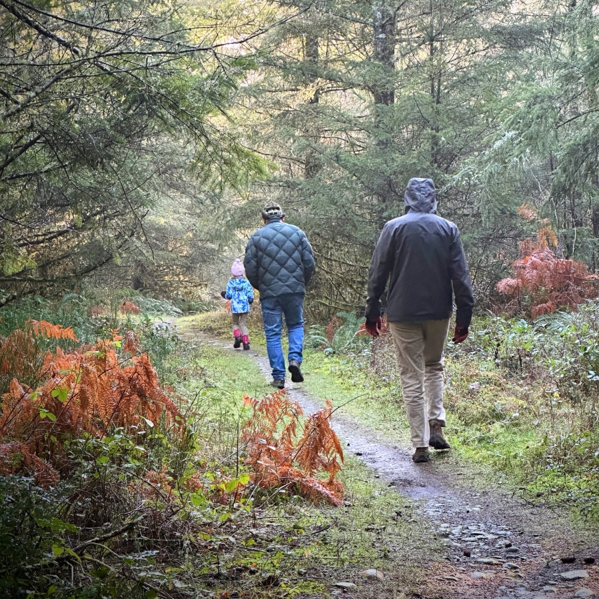A Walk in the&nbsp;Woods