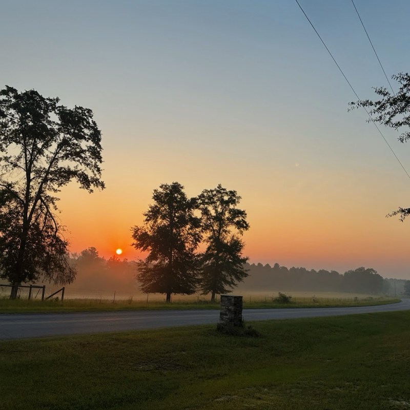 When Repetition Builds