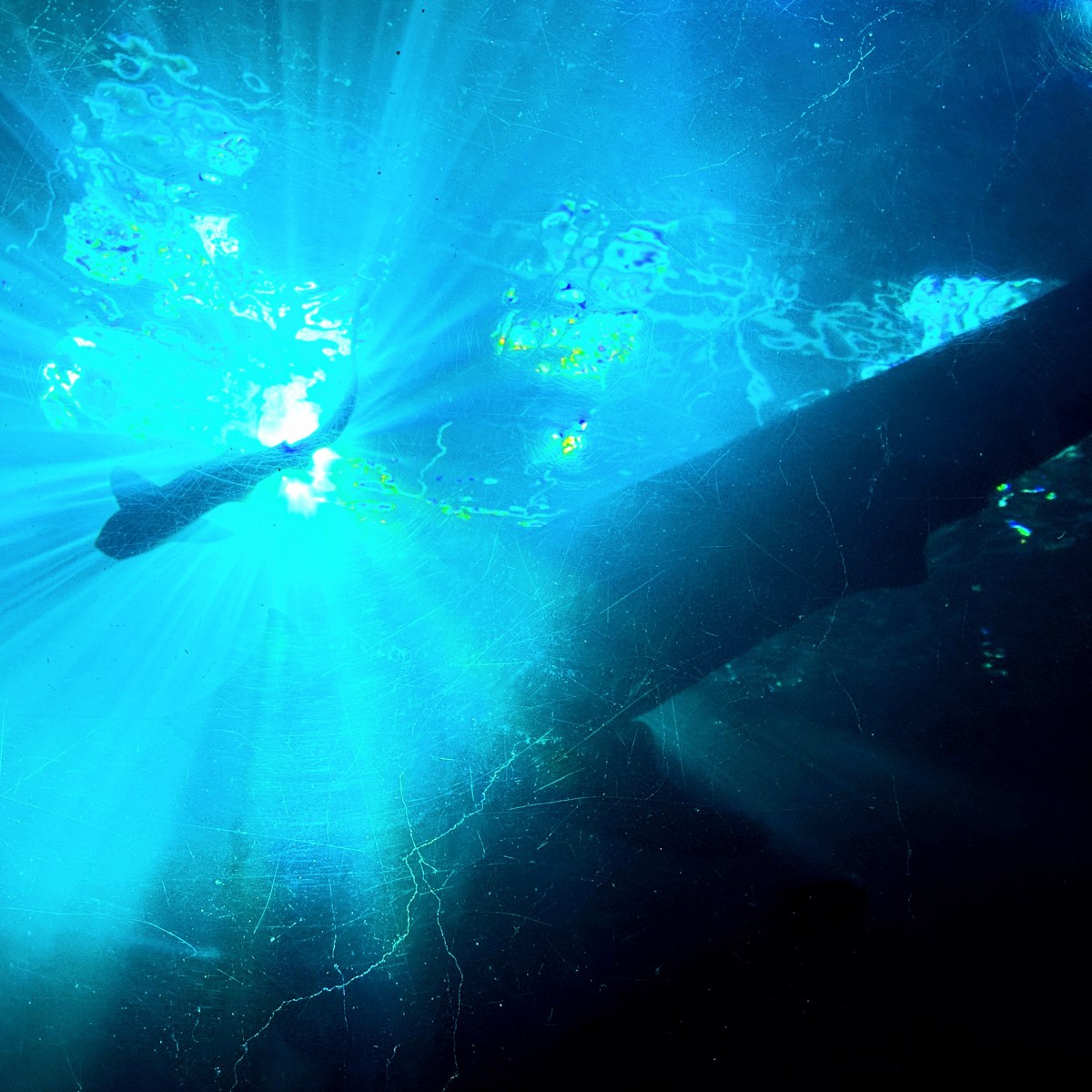 The Darkness and the&nbsp;Light