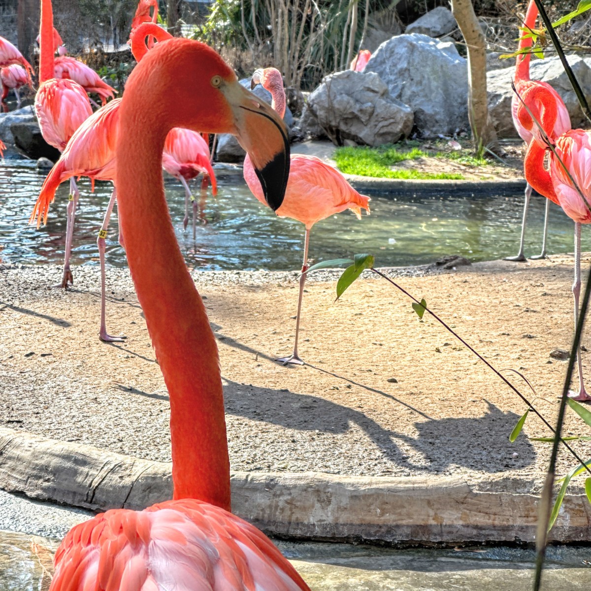 A Day in&nbsp;Pictures