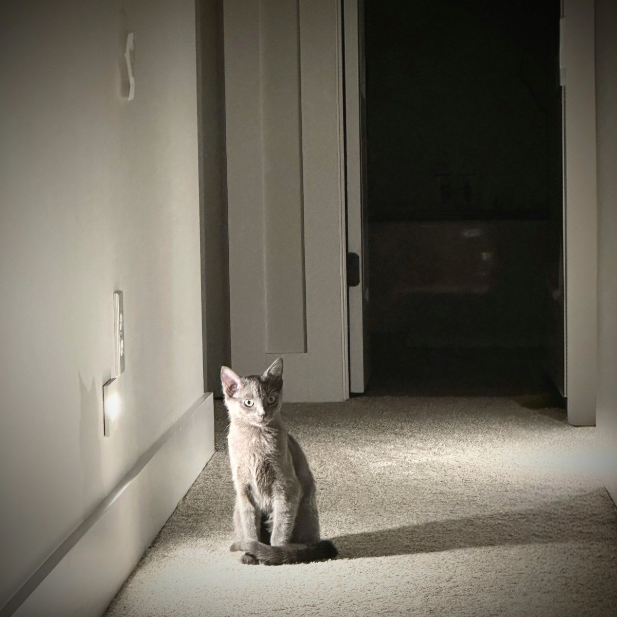 How I Outsmart&nbsp;Resistance