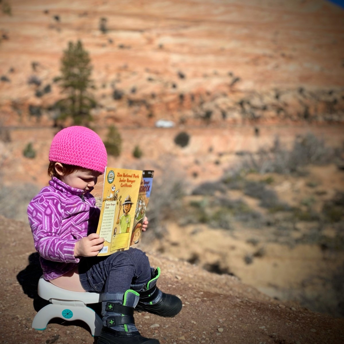 A Moth at the&nbsp;Window