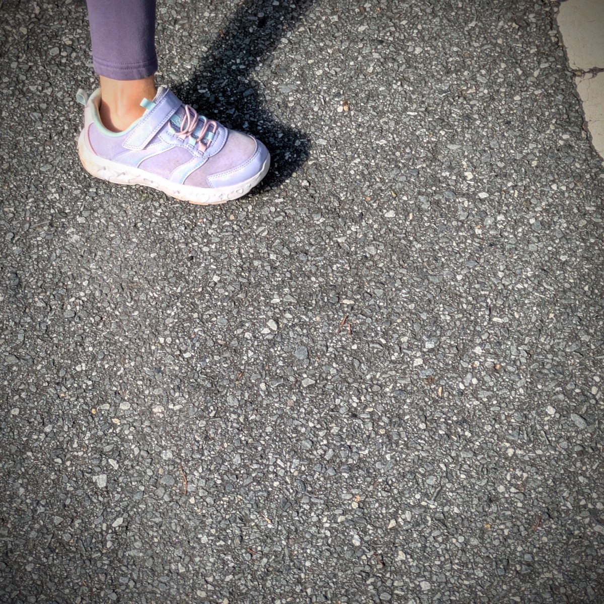 A Stroll For the&nbsp;Soul