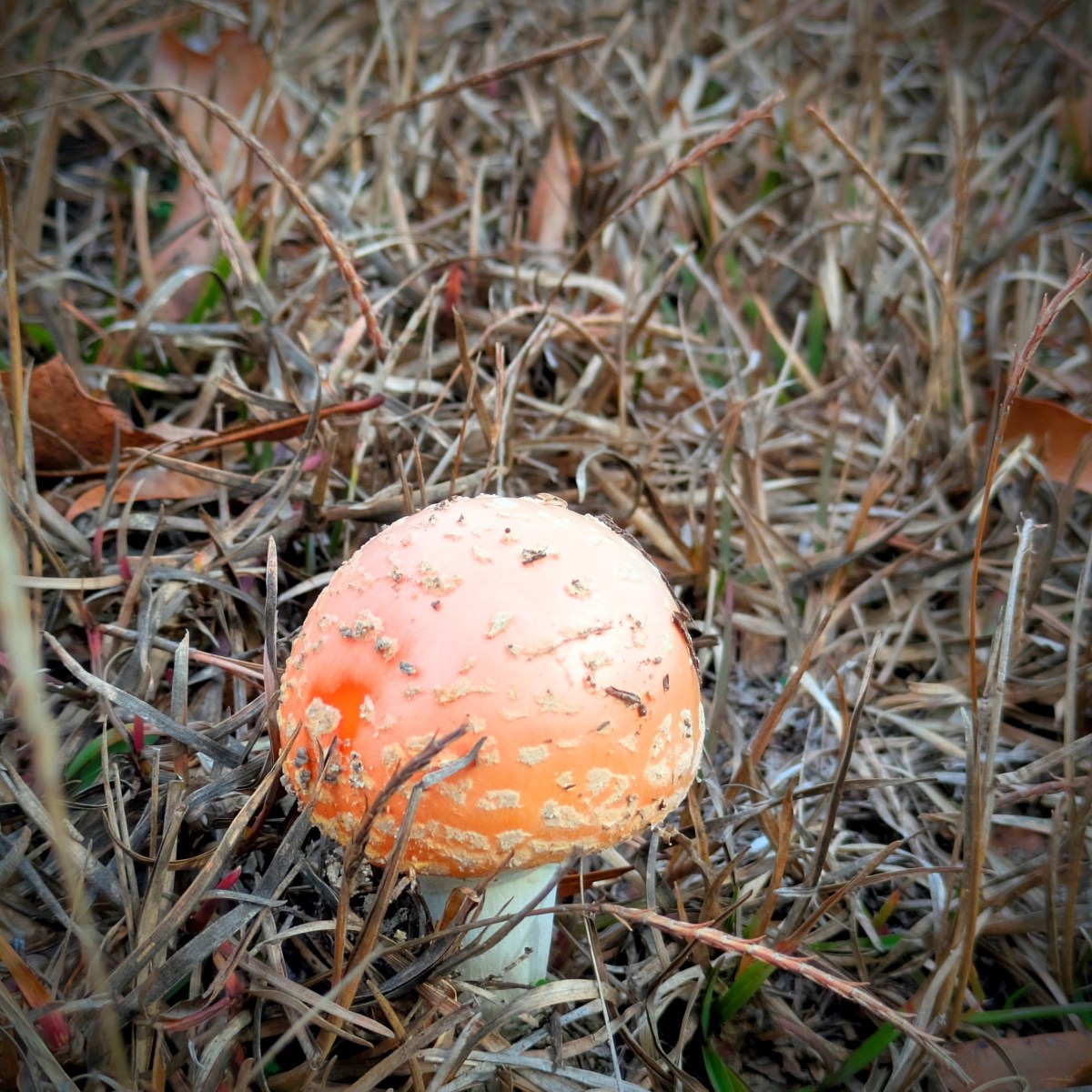 It’s A New&nbsp;Car!