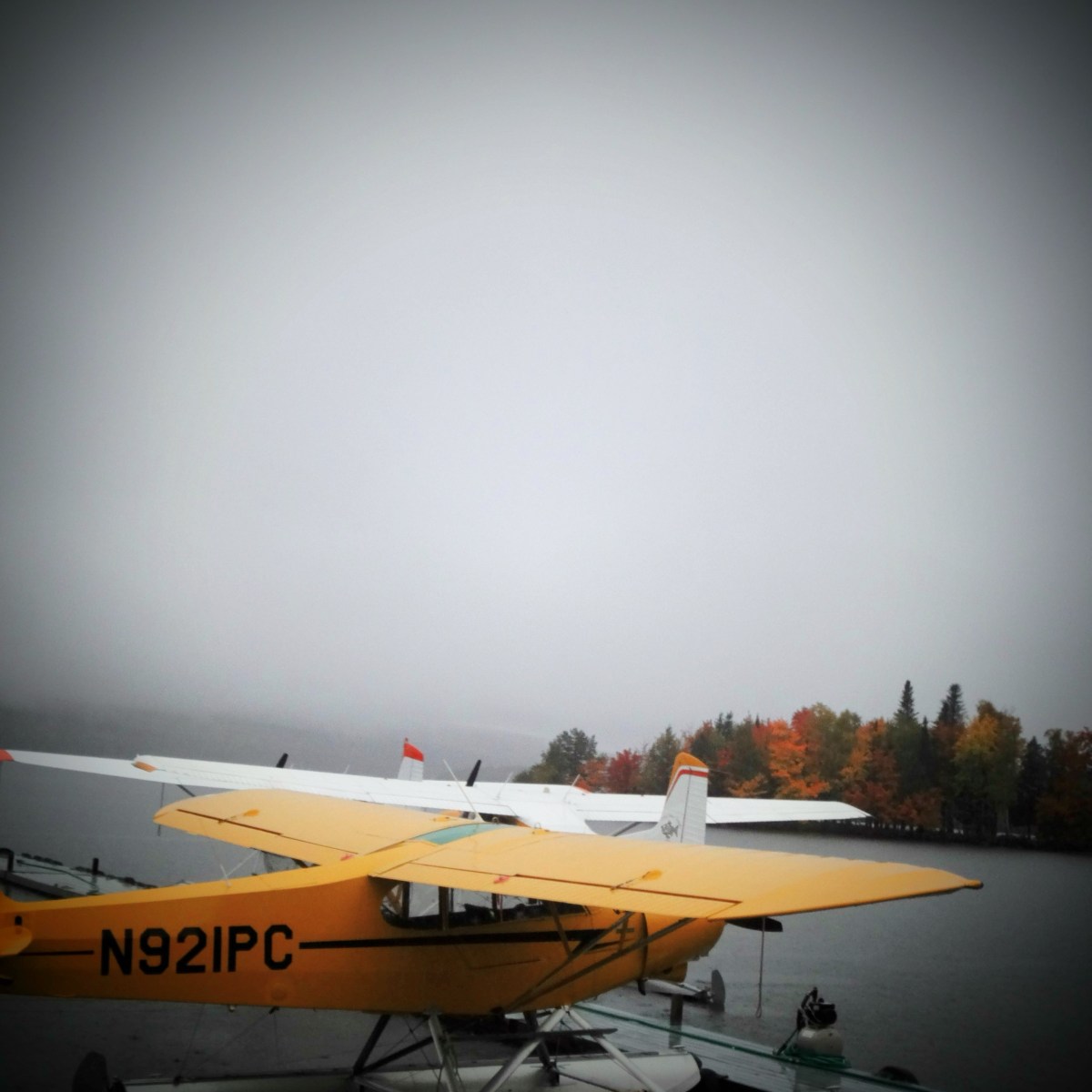 With Arms Wide&nbsp;Open