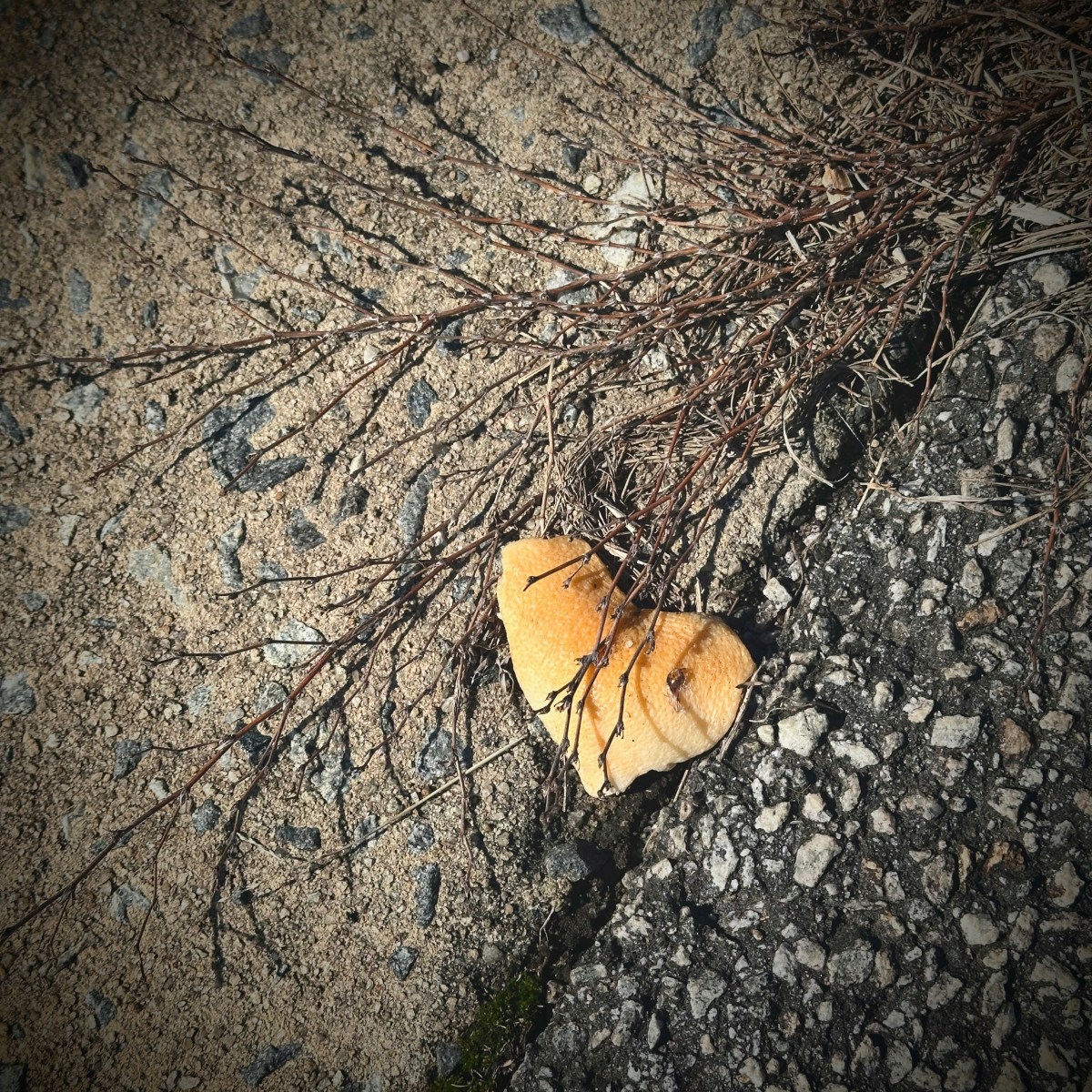 Don’t Stop Believin’