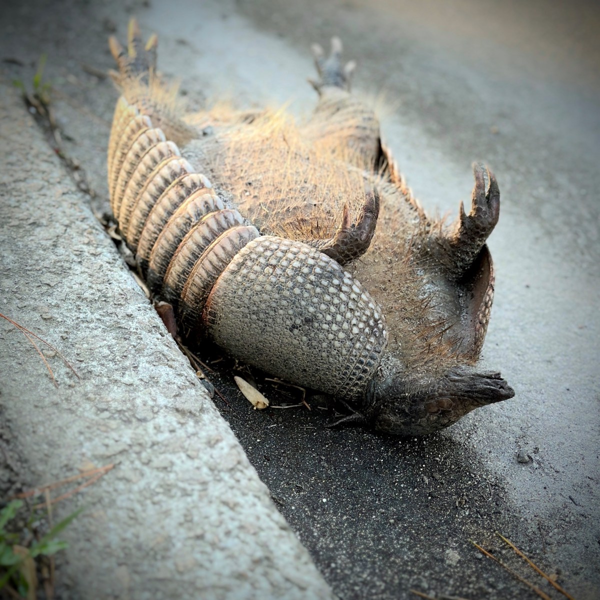 What Guilt Really&nbsp;Needs