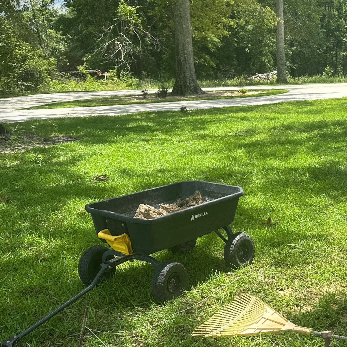 The Anti-Social Club