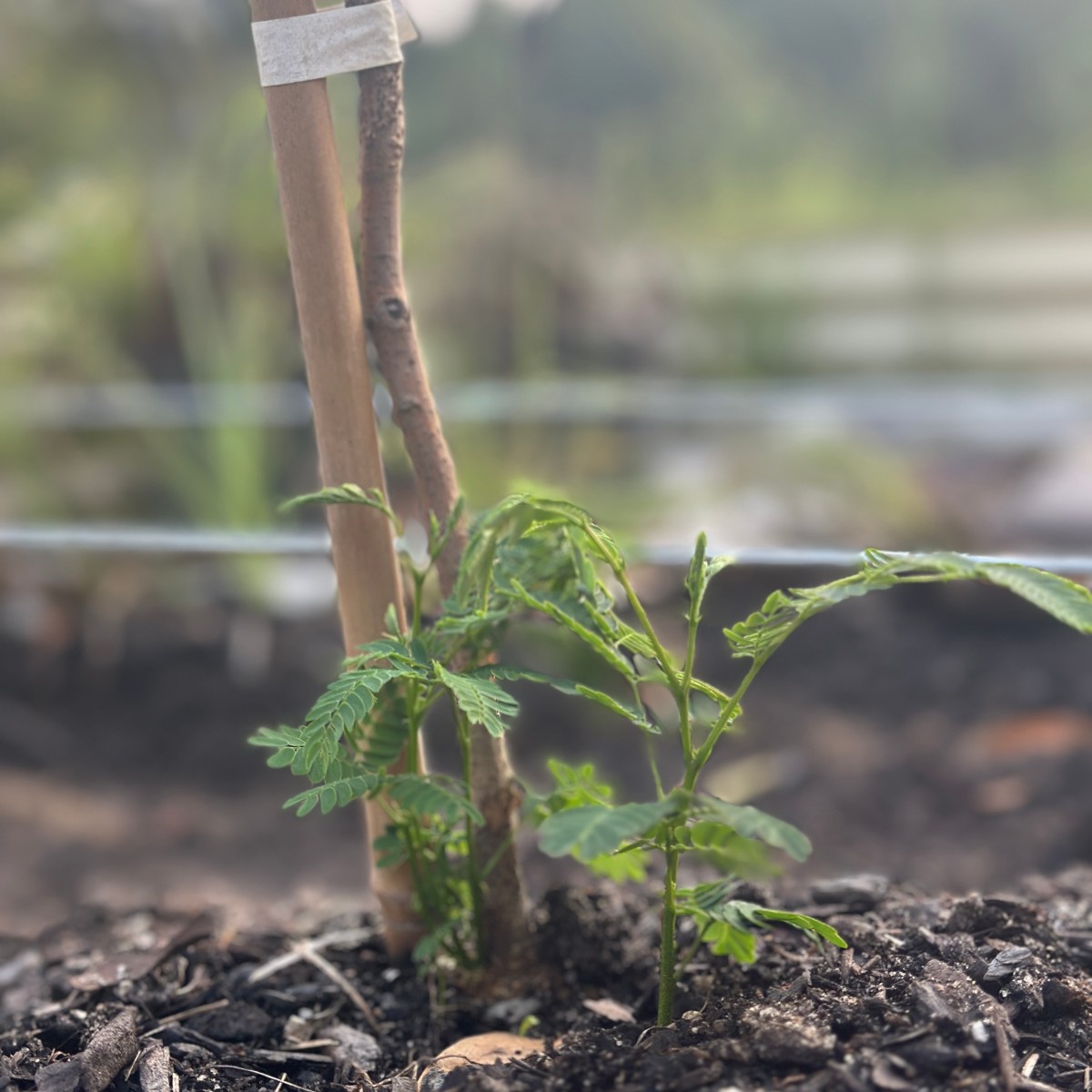 Back to Square&nbsp;One