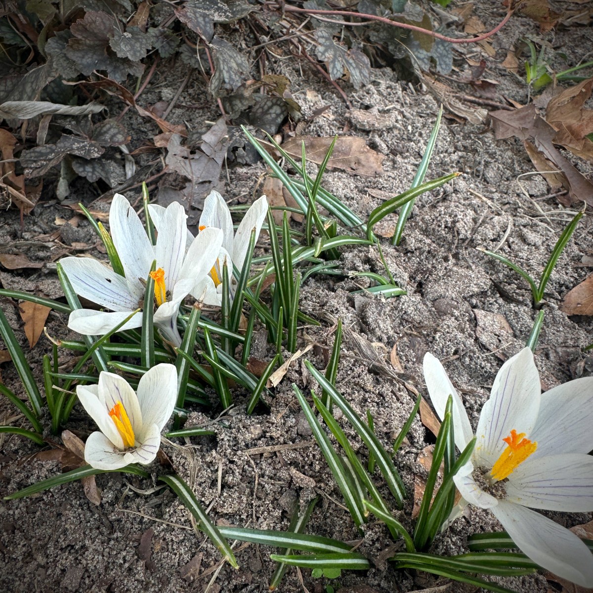 Because I Feel Like&nbsp;It