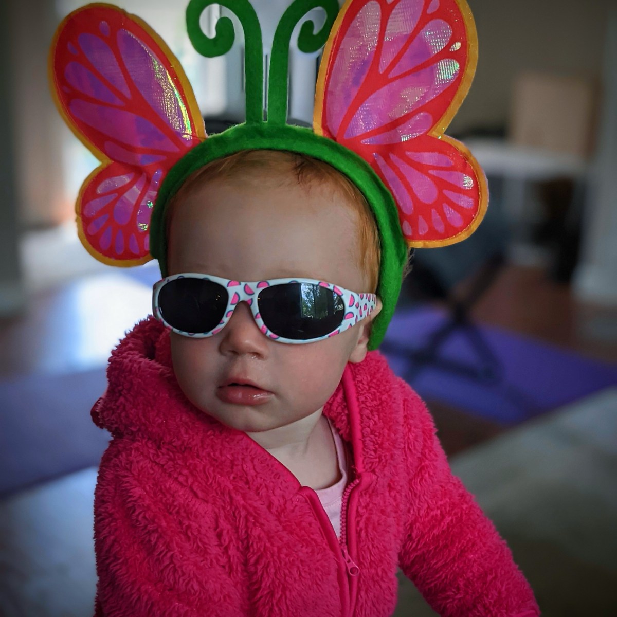 Free Bees For&nbsp;All