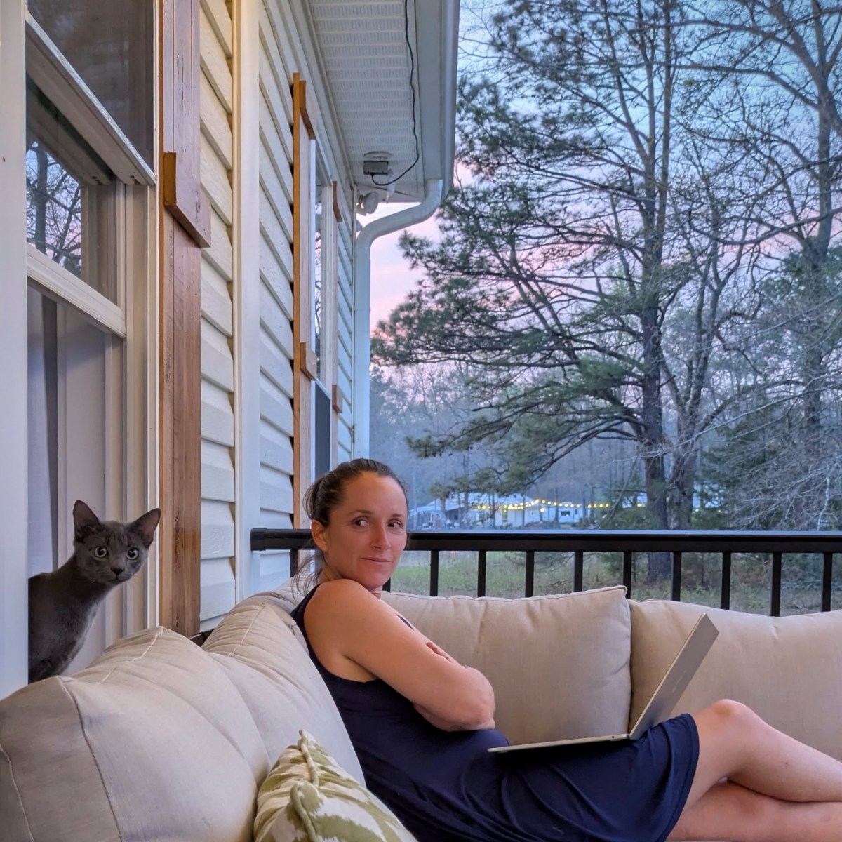 Where the Wisteria&nbsp;Blooms