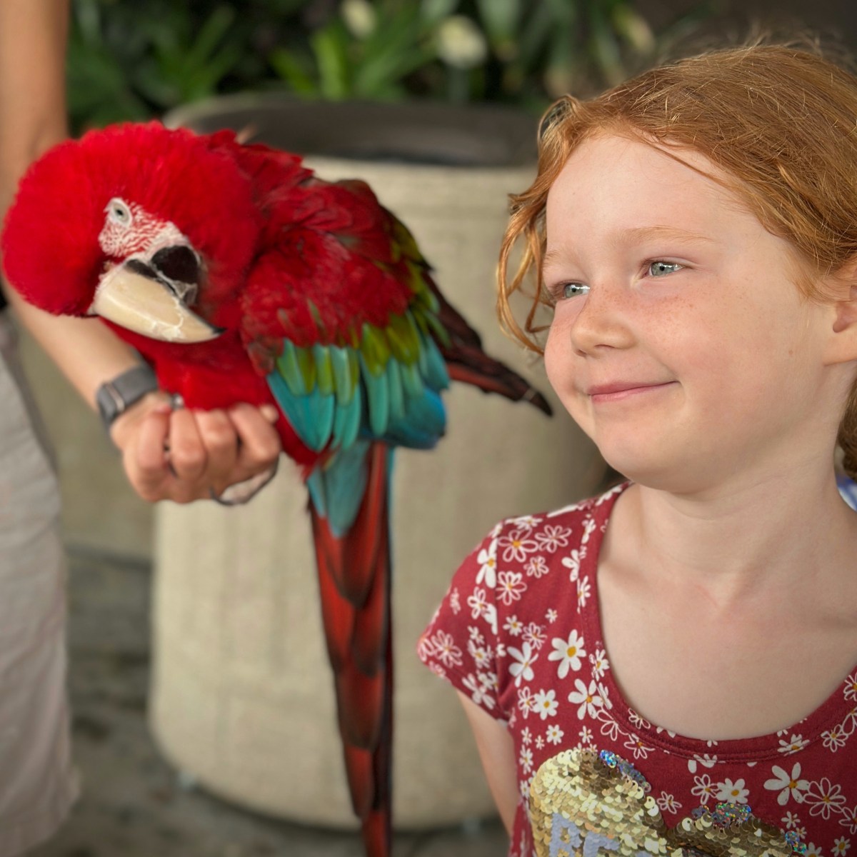 A Fairy Godmother&nbsp;Appears