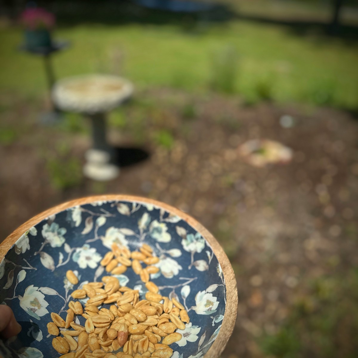 The Act of&nbsp;Notting