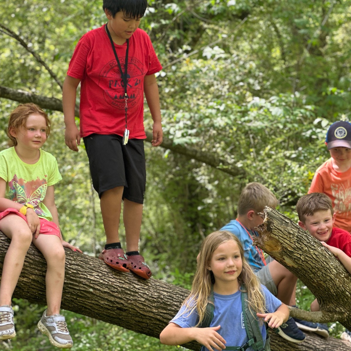 To the Climbing&nbsp;Tree