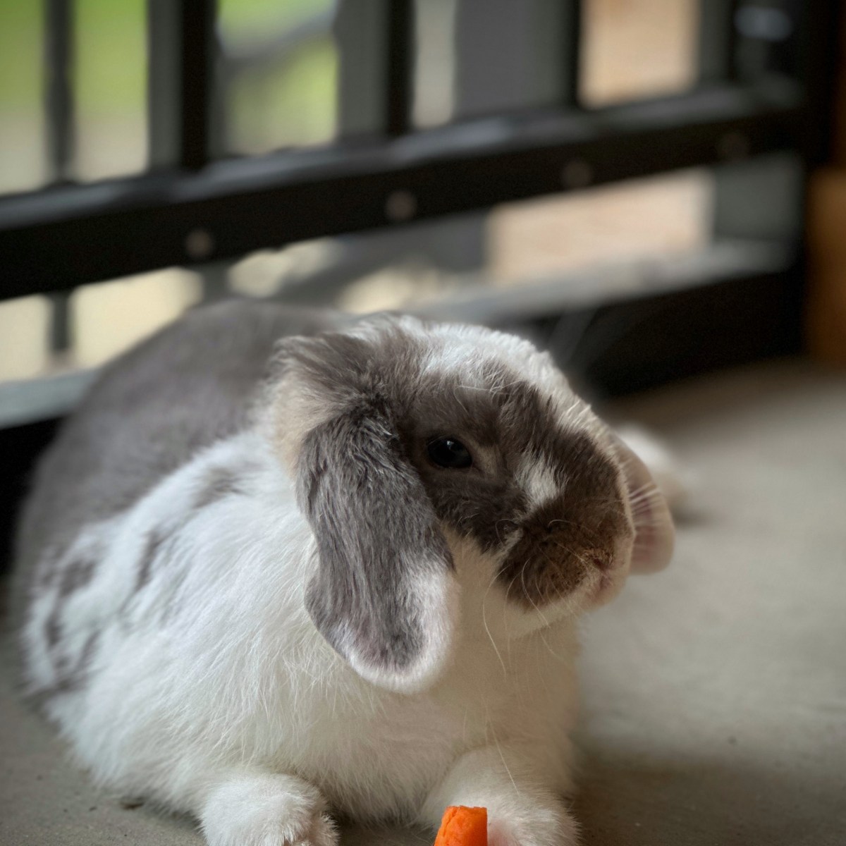 So Long, Farewell…Almost